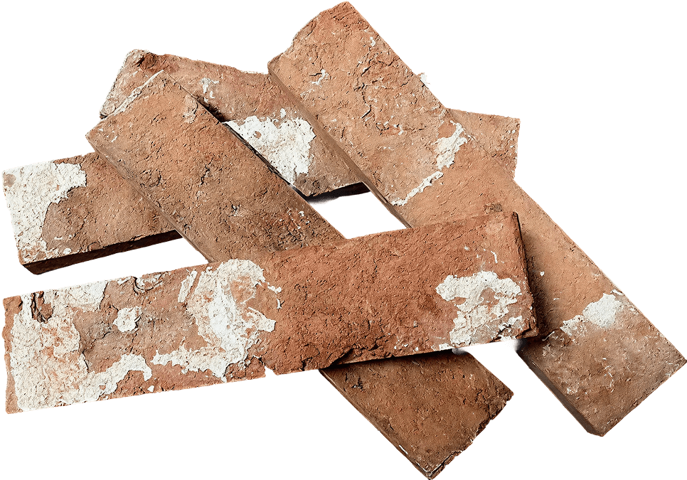 Taxonomy Cta bricks